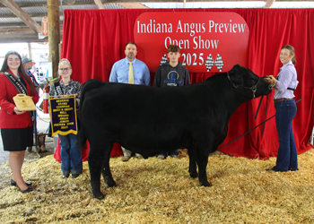 Reserve Grand Champion Bred-and-owned Bull