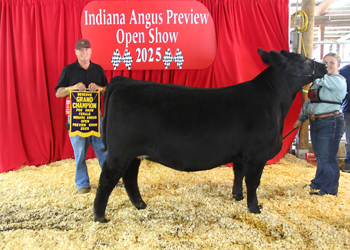 Reserve Grand Champion PGS Female