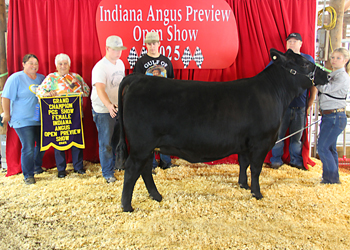 Grand Champion PGS Female