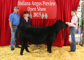 Senior Heifer Calf Champion