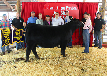 Grand Champion Female