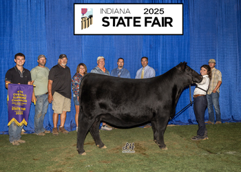 Grand Champion Female