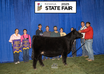 Reserve Grand Champion Female