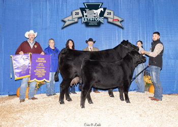 Grand Champion Cow-calf Pair