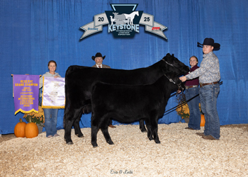 Reserve Grand Champion Cow-calf Pair