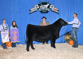 Reserve Grand Champion Female