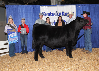 Grand Champion Steer