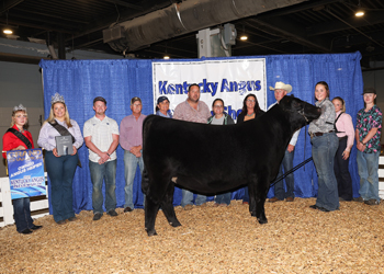 Grand Champion Owned Female