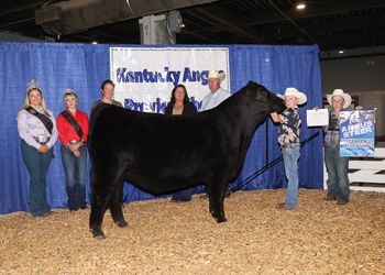 Reserve Grand Champion Steer