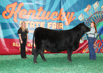 Reserve Grand Champion Female