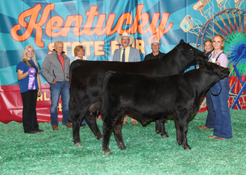 Grand Champion Cow-calf Pair