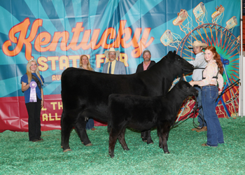 Reserve Grand Champion Cow-calf Pair