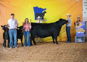 Grand Champion Cow-calf Pair