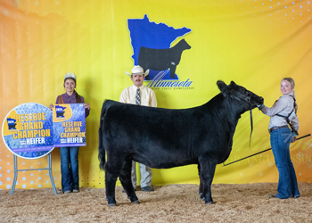 Reserve Grand Champion Bred-and-owned Female