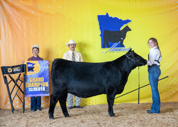 Grand Champion Bred-and-owned Female