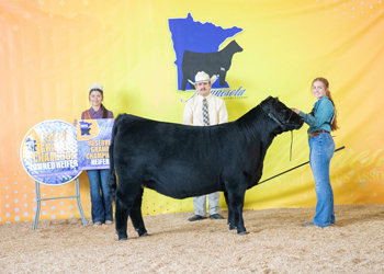 Reserve Grand Champion Owned Female