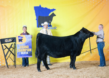 Grand Champion Owned Female