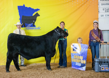 Grand Champion Steer