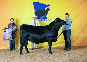 Reserve Grand Champion Bred-and-owned Steer