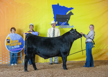 Grand Champion Bred-and-owned Steer
