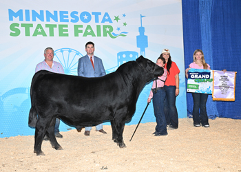 Reserve Grand Champion Bull