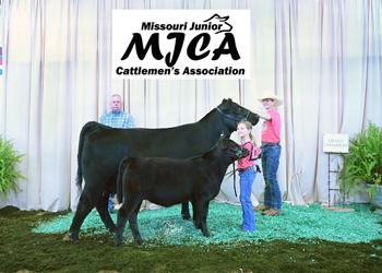 Grand Champion Cow-calf Pair