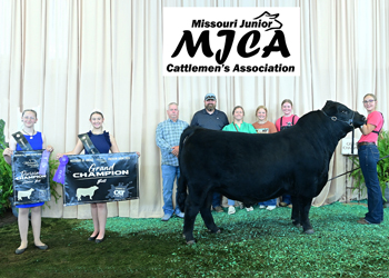 Grand Champion Bred-and-owned Bull
