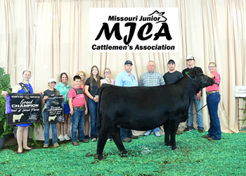 Grand Champion Bred-and-owned Female