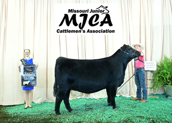 Bred-and-owned Reserve Senior Champion Female