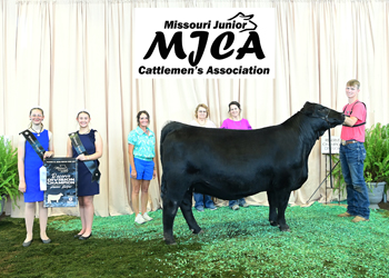 Owned Reserve Senior Champion Female