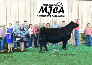 Grand Champion Owned Female