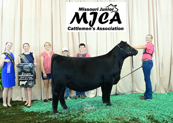 Bred-and-owned Intermediate Champion Heifer