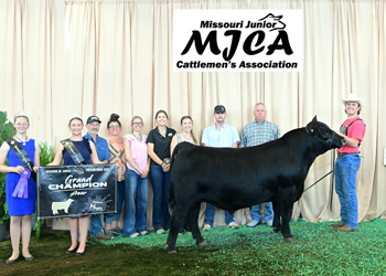 Grand Champion Steer