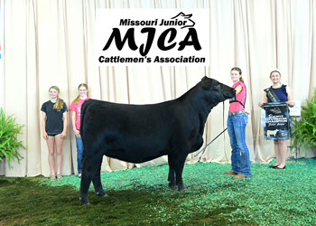 Bred-and-owned Reserve Junior Champion Heifer
