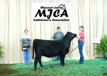 Owned Senior Heifer Calf Champion