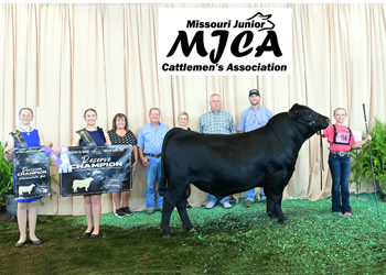 Reserve Grand Champion Bred-and-owned Bull