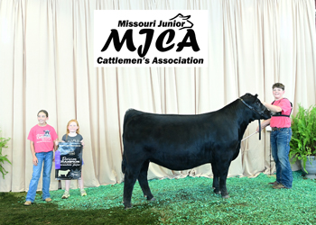 Owned Intermediate Champion Heifer