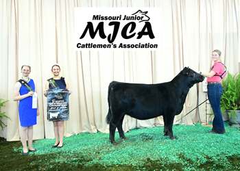 Bred-and-owned Reserve Intermediate Champion Heifer