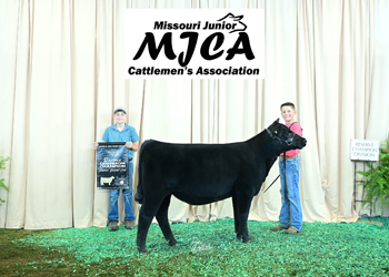 Owned Reserve Senior Heifer Calf Champion