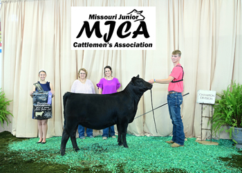 Bred-and-owned Senior Heifer Calf Champion
