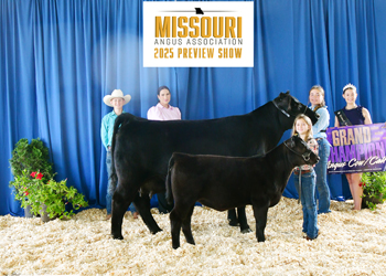 Grand Champion Cow-calf Pair