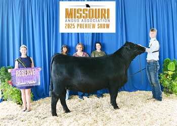 Reserve Senior Champion Female