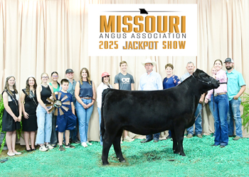 Champion Missouri Jackpot Heifer