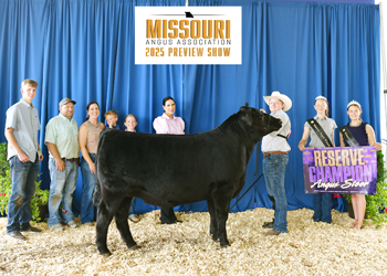 Reserve Grand Champion Steer