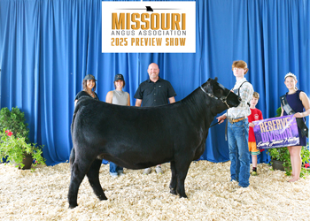 Reserve Early Junior Champion Heifer