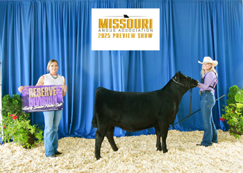 Reserve Early Senior Heifer Calf Champion