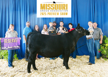 Reserve Late Junior Champion Heifer