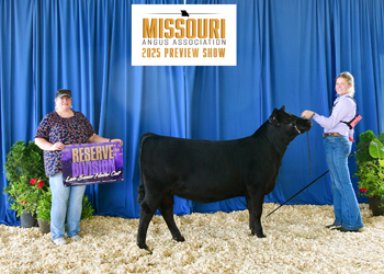 Reserve Late Senior Heifer Calf Champion