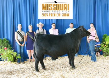 Grand Champion Steer