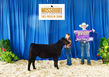Junior Heifer Calf Champion